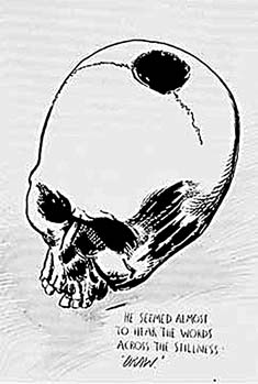pettibon skull
